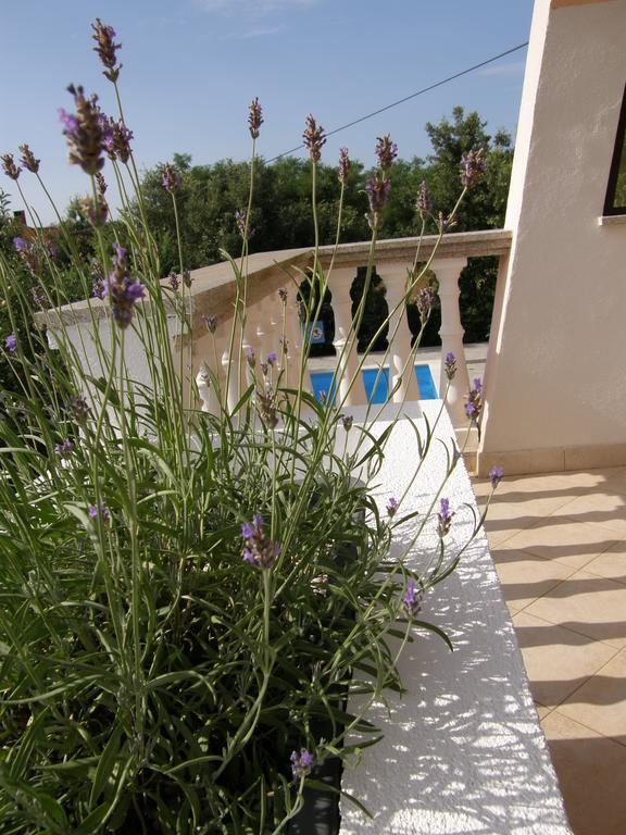 Apartment Zaton  Esterno foto